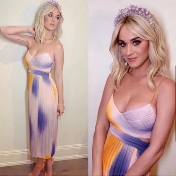 A.L.C. Sienna Ombre Dress in Multi Ombre Pleated in Size 6 - Picture 6 of 15